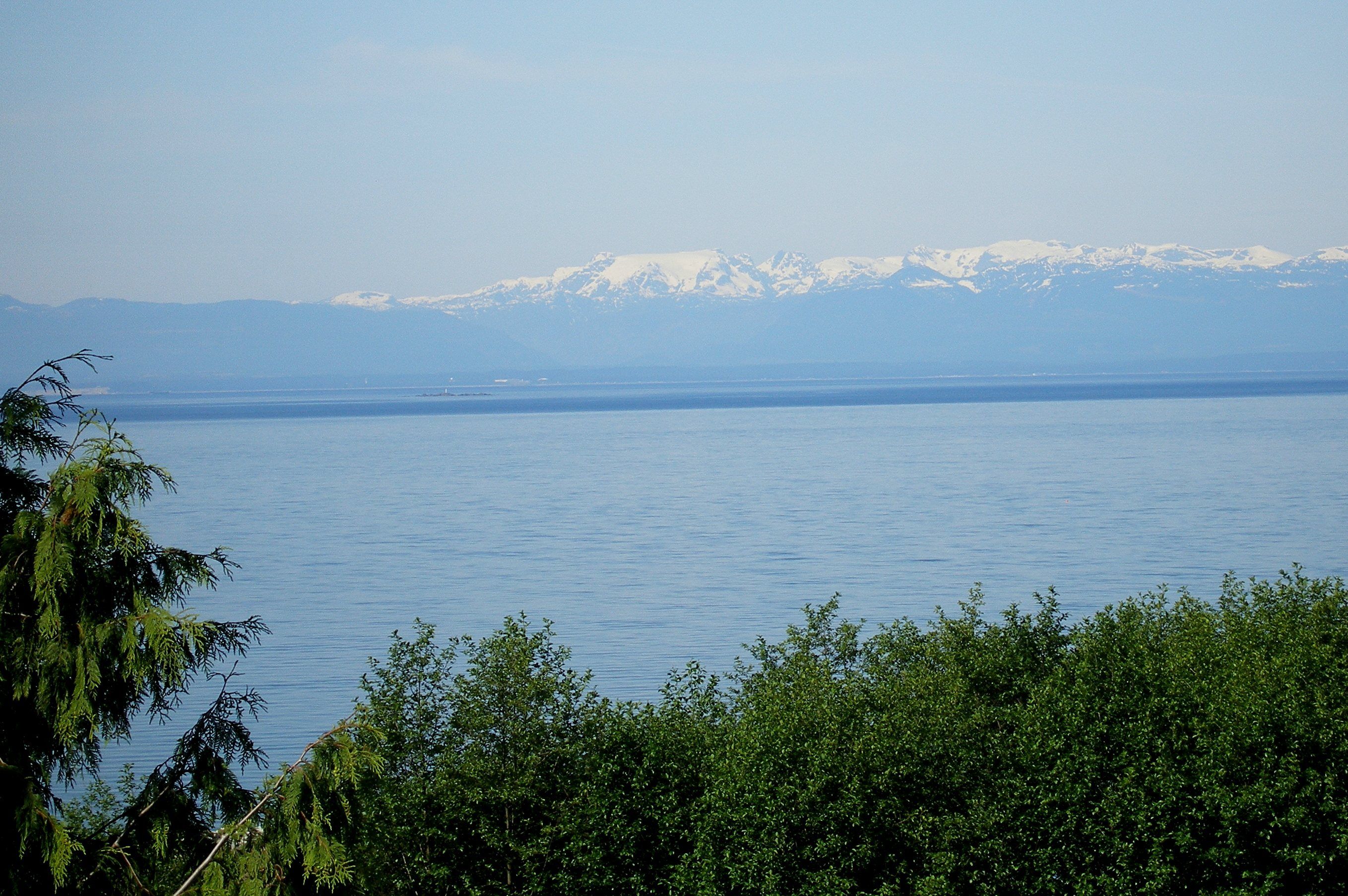 View across the water from Powell River, British Columbia, with forested shore and mountains.