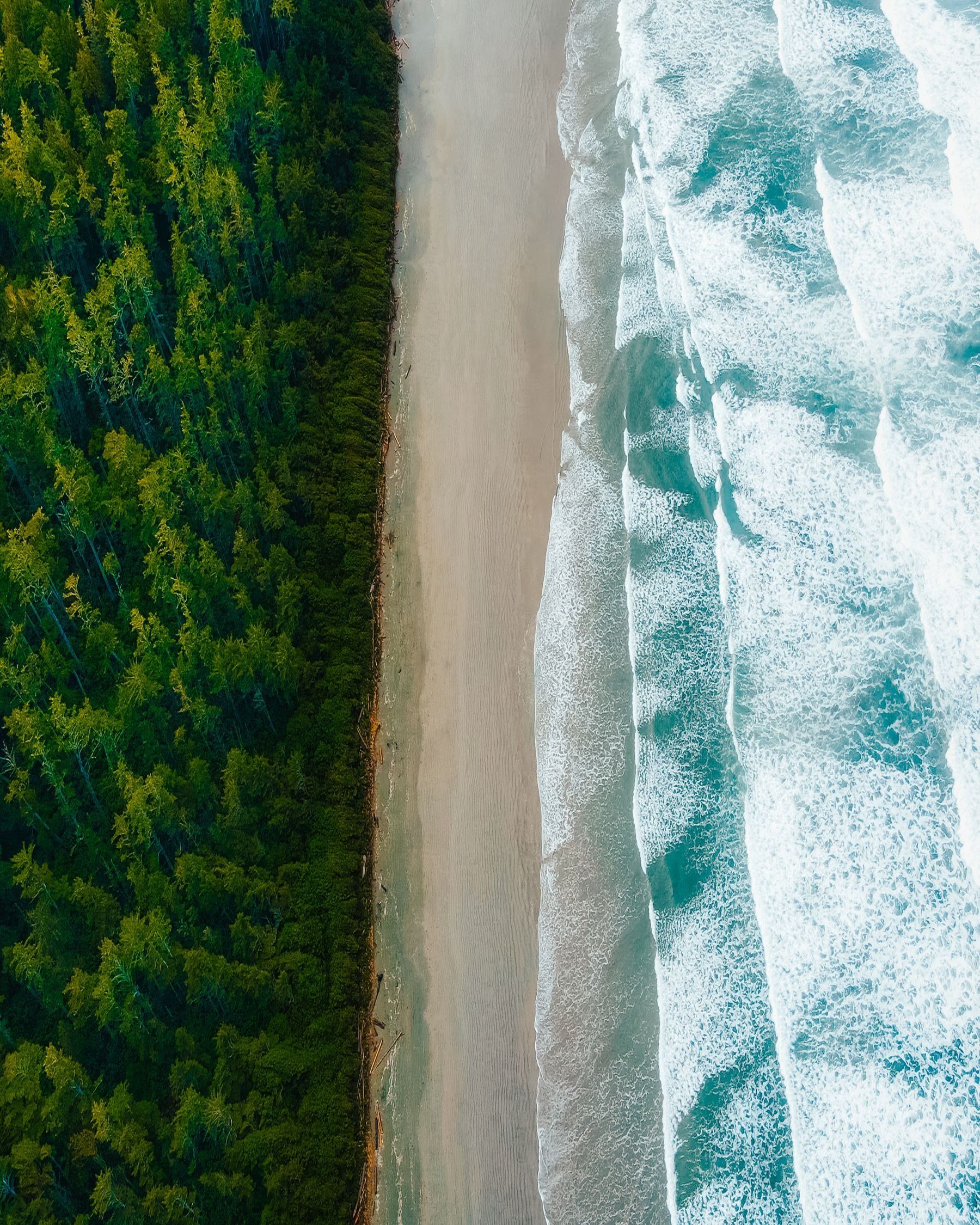 Aerial view of a forested beach and shoreline at Tofino, British Columbia.